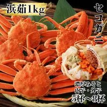 11-181 ボイルセコガニ1kg｜ セイコ蟹 ズワイガニメス 子持ち