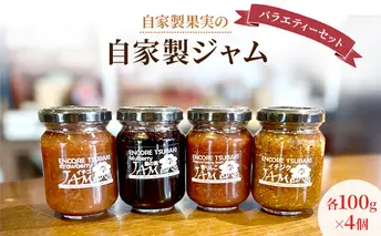 ジャム 自家製果実の自家製ジャムバラエティーセット 各100g×4個 セット 自家製 果実 自社農園 新鮮 フルーツ てづくり りんご アプリコット 葡萄 マルベリー ビワ イチゴ 日進市 愛知県