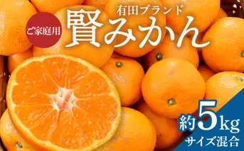 ZD92065_【家庭用】有田ブランド 賢みかん 約5kg（サイズ混合）