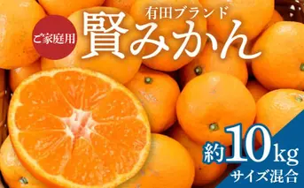 ZD92066_【家庭用】有田ブランド 賢みかん 約10kg（サイズ混合）