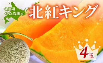 【2025年7月中旬から順次発送】【北海道産極旨メロン】北紅キング 4玉 メロン 旬 野菜 赤肉 ジュース アールスメロン 産地直送 せたな町 ふるさと納税
