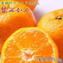 ZD92061_【家庭用】有田ブランド 賢みかん 約5kg（S～Lサイズおまかせ）