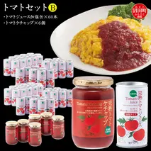 トマトセットB（トマトジュース加塩缶×60本・トマトケチャップ×6個）保存料 無添加 国産 北海道産 n-0059