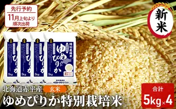 玄米 北海道赤平産 ゆめぴりか 20kg (5kg×4袋) 特別栽培米 米 北海道 お米 ふるさと納税