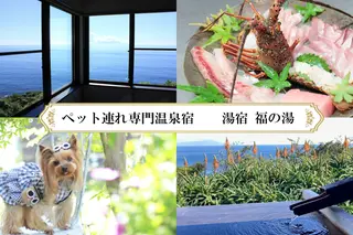 愛犬と泊まる源泉かけ流しの湯宿 湯宿福の湯 宿泊補助券 15,000円分 1293 ／ 福の湯 静岡県 東伊豆 伊豆 愛犬 ペット