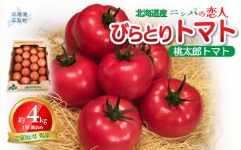 【先行予約/2026年6月以降発送】【家庭用】ニシパの恋人「びらとりトマト」秀品 1箱 約4kg（20～24個 満詰め） BRTO001