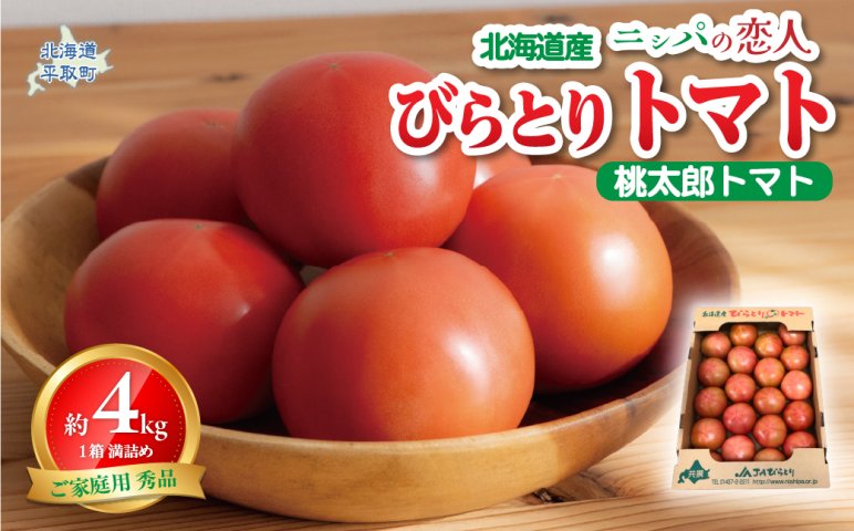 先行予約/2026年6月以降発送】【家庭用】ニシパの恋人「びらとりトマト