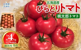 【先行予約】【贈答用】びらとりトマト（桃太郎トマト）秀品 1箱 約4kg（20～24個 満詰め）（2025年6月上旬より順次発送） BRTO001
