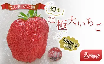 【予約受付】てんまいちご園　幻の超極大いちご 2パック入りボックス　いちご イチゴ 大粒 極大 超極大 兵庫県 稲美町 果物類 苺 