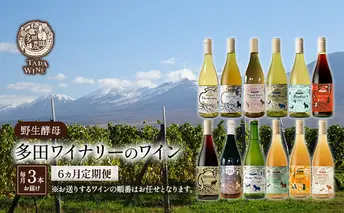 6ヵ月定期便◆野生酵母ワイン 毎月3本お届け(6ヵ月間) 多田ワイナリー 北海道 上富良野町 ワイン 赤ワイン 白ワイン 微発泡ワイン オレンジワイン