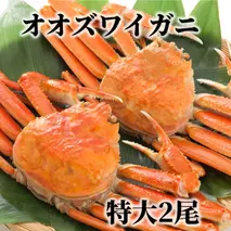 15-289 【年内発送12月15日入金まで】北海道産　特大ボイルオオズワイガニ姿　２尾　計1.5ｋｇ内外 within2025