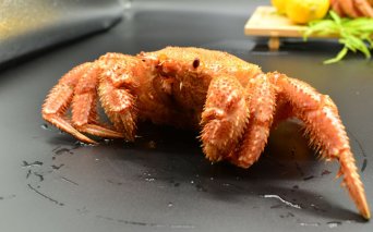 流氷海明け・活〆茹で特大毛蟹1尾約800g冷蔵便届け ABAO110