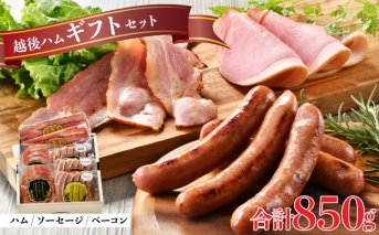 国産 越後もち豚 ハム ベーコン ソーセージ 5種 詰め合わせ にくこひし 笹川流れの塩 特選 ギフトセット 越後ハム 贈答 お中元 お歳暮 ギフト 熨斗 包装 指定日 お祝い お取り寄せ 人気 おすすめ 越後ハム 新潟県 新発田市 J54