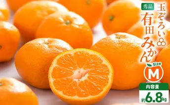 MK1045_みかん Ｍサイズ 秀品 箱込 7.5kg ( 内容量 6.8kg ) 有田みかん 和歌山県産 産地直送 贈答用 【みかんの会】