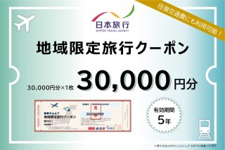 岐阜県可児市　日本旅行　地域限定旅行クーポン30,000円分 旅行 チケット 宿泊 クーポン 交通 観光 体験 ホテル 旅行券 家族旅行 【0113-002】