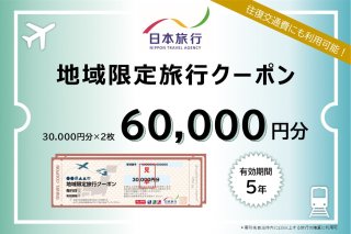 岐阜県可児市　日本旅行　地域限定旅行クーポン60,000円分 旅行 チケット 宿泊 クーポン 交通 観光 体験 ホテル 旅行券 家族旅行 【0113-003】