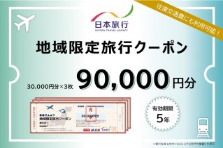 岐阜県可児市　日本旅行　地域限定旅行クーポン90,000円分 旅行 チケット 宿泊 クーポン 交通 観光 体験 ホテル 旅行券 家族旅行 【0113-004】