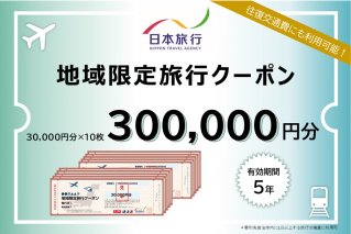 岐阜県可児市　日本旅行　地域限定旅行クーポン300,000円分 旅行 チケット 宿泊 クーポン 交通 観光 体験 ホテル 旅行券 家族旅行 【0113-006】