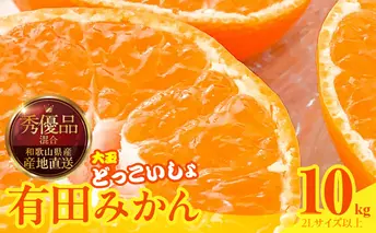 MK1034_みかん 大玉 どっこいしょ 箱込 10kg ( 内容量 9.2kg ) 2Lサイズ以上 秀品 優品 混合 有田みかん 和歌山県産 産地直送 【みかんの会】
