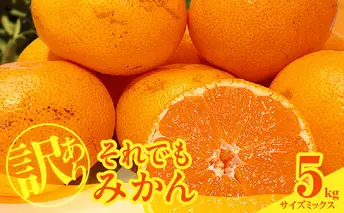 MK1035_訳あり それでも みかん 箱込 5kg ( 内容量 4.4kg ) サイズミックス Ｂ品 有田みかん 和歌山県産 産地直送 家庭用【みかんの会】