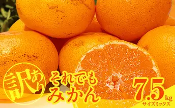 MK1049_訳あり それでも みかん 箱込 7.5kg ( 内容量 6.8kg ) サイズミックス Ｂ品 有田みかん 和歌山県産 産地直送 家庭用【みかんの会】