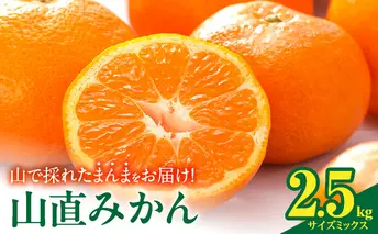 MK1037_みかん 山から直送 箱込 2.5kg ( 内容量 2.3kg ) 鮮度優先ごろごろ規格 和歌山県産 産地直送 【みかんの会】