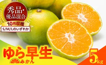 MK1056_ゆら早生 みかん 箱込 5kg ( 内容量 4.4kg ) S M Lサイズのいずれか 秀品 優品 混合 有田みかん 和歌山県産