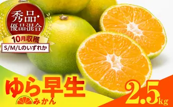 MK1057_ゆら早生 みかん 箱込 2.5kg ( 内容量 2.3kg ) S M Lサイズのいずれか 秀品 優品 混合 有田みかん 和歌山県産