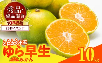MK1058_ゆら早生 みかん とにかく小玉 箱込 10kg ( 内容量9.2kg ) 2Sサイズ以下 秀優混合 有田みかん 和歌山県産