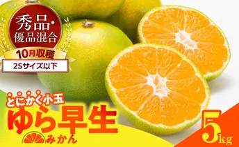 MK1060_ゆら早生 みかん とにかく小玉 箱込 5kg ( 内容量4.4kg ) 2Sサイズ以下 秀優混合 有田みかん 和歌山県産