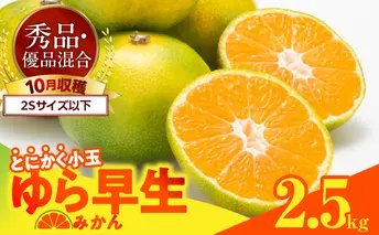 MK1061_ゆら早生 みかん とにかく小玉 箱込 2.5kg ( 内容量2.3kg ) 2Sサイズ以下 秀優混合 有田みかん 和歌山県産