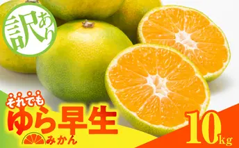 MK1066_訳あり ゆら早生 みかん 箱込 10kg ( 内容量 9.2kg ) サイズミックス 有田みかん 和歌山県産
