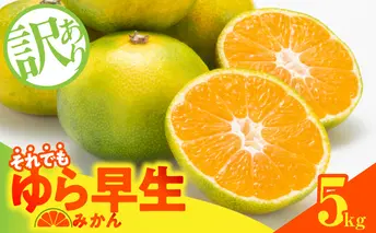 MK1068_訳あり ゆら早生 みかん 箱込 5kg ( 内容量 4.4kg ) サイズミックス 有田みかん 和歌山県産
