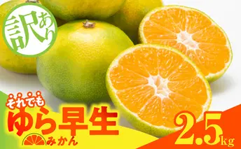 MK1069_訳あり ゆら早生 みかん 箱込 2.5kg ( 内容量 2.3kg ) サイズミックス 有田みかん 和歌山県産