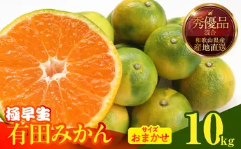 MK1070_みかん 極早生 箱込10kg（内容量9.2kg）おまかせサイズ（S/M/L）秀品・優品 の混合 有田みかん 和歌山県産