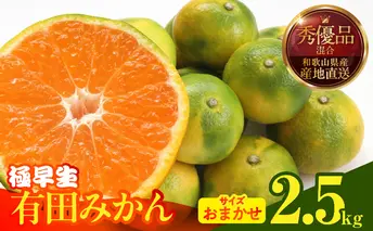 MK1073_みかん 極早生 箱込 2.5kg ( 内容量2.3kg ) おまかせサイズ（S/M/L）秀品・優品 の混合 有田みかん 和歌山県産