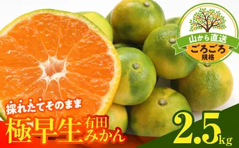 MK1081_みかん 極早生 山から直送 箱込 2.5kg ( 内容量 2.3kg ) 採れたてそのままごろごろ規格 有田みかん 和歌山県産