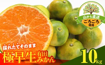 MK1078_みかん 極早生 山から直送 箱込 10kg ( 内容量 9.2kg ) 採れたてそのままごろごろ規格 有田みかん 和歌山県産