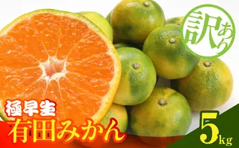 MK1084_訳あり みかん 極早生 箱込 5kg ( 内容量 4.4kg ) サイズミックス 有田みかん 和歌山県産