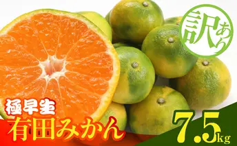 MK1083_訳あり みかん 極早生 箱込 7.5kg ( 内容量 6.8kg ) サイズミックス 有田みかん 和歌山県産