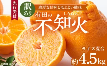 ZD92070_【2026年先行予約】【濃厚】有田の不知火 (デコポン) 【訳あり 家庭用】 4.5kg (サイズ混合)