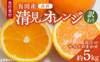 ZD92071_【2026年先行予約】【産直】有田産清見オレンジ 約5kg（訳あり家庭用サイズおまかせまたは混合）