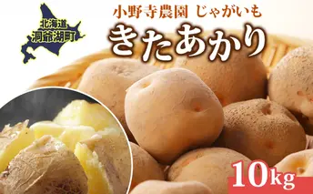 じゃがいも きたあかり 10kg 10月初旬~12月中旬お届け 栗じゃがいも ホクホク 甘い ポテトサラダ コロッケ 産地直送 お取り寄せ 国産 小野寺農園 北海道 洞爺湖町