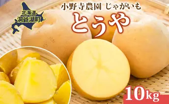 じゃがいも とうや 10kg 10月初旬~12月中旬ごろお届け ホクホク 甘い ポテトサラダ コロッケ 産地直送 お取り寄せ 国産 小野寺農園 北海道 洞爺湖町