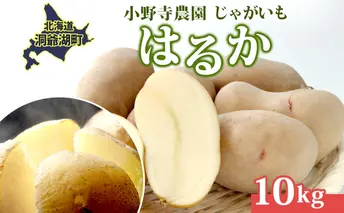 じゃがいも はるか 10kg しっとり 甘い 10月初旬~12月中旬ごろお届け カレーライス 肉じゃが 産地直送 お取り寄せ 国産 小野寺農園 北海道 洞爺湖町