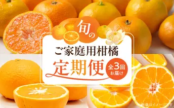G60-T97_【発送月固定定期便】魚鶴自慢のご家庭用柑橘セット(みかん・不知火・清見)全3回