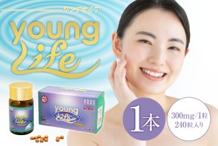 ヤングライフ（サプリメント）240粒 サプリメント ヒアルロン酸  タンパク質 鶏 トサカ 健康 食品 健康食品【0106-016】