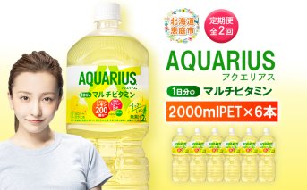 【定期便：全2回】アクエリアス 1日分のマルチビタミン　2LPET×6本【380086】