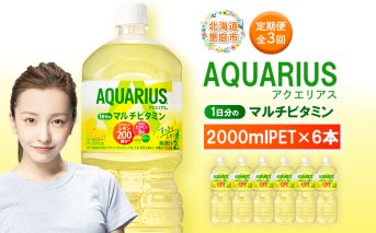 【定期便：全3回】アクエリアス 1日分のマルチビタミン　2LPET×6本【380087】