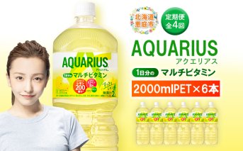 【定期便：全4回】アクエリアス 1日分のマルチビタミン　2LPET×6本【380088】